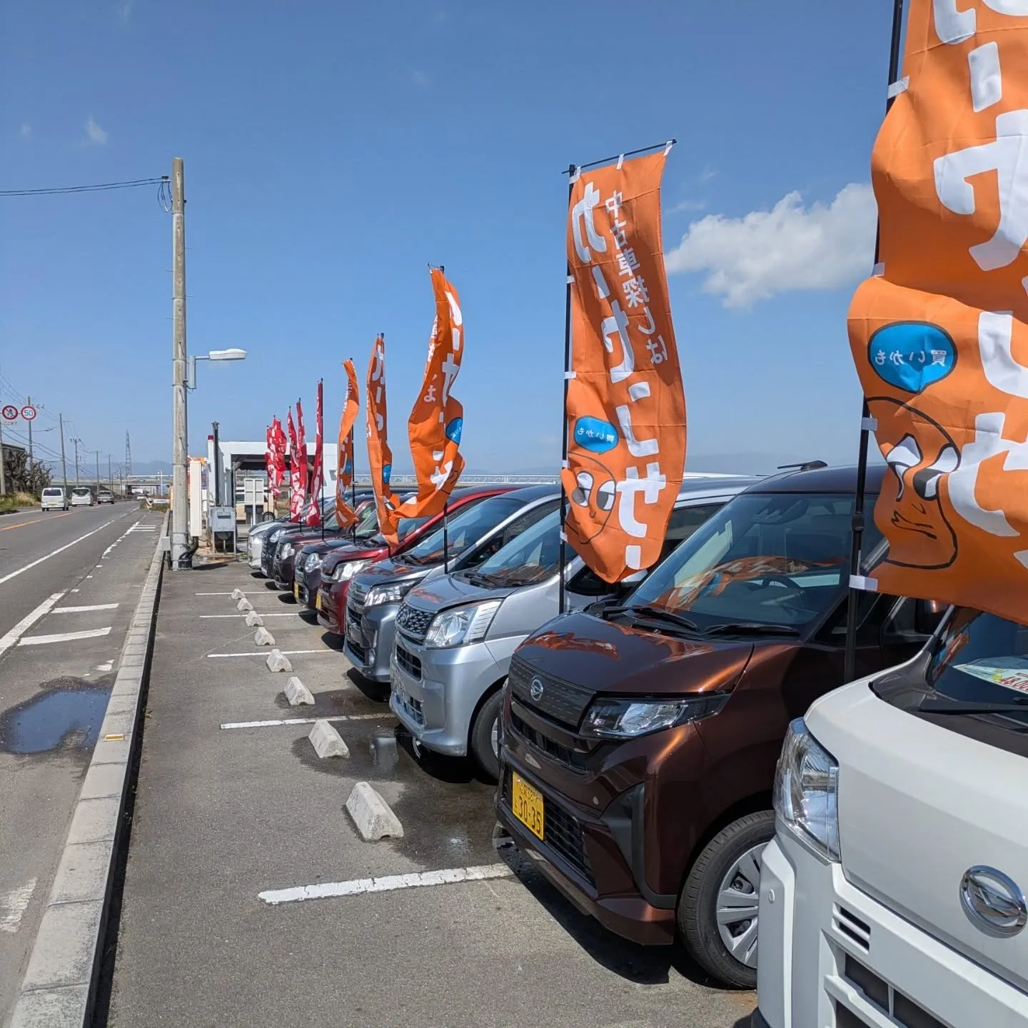 #お求めやすい中古車